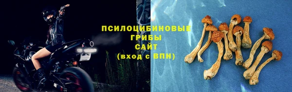 мескалин Горно-Алтайск