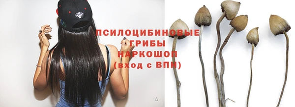 mdma Горнозаводск