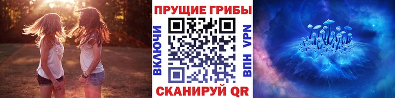 магазин наркотиков Муром Галлюциногенные грибы MAGIC MUSHROOMS