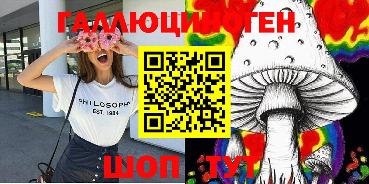 Галлюциногенные грибы Psilocybine cubensis Муром