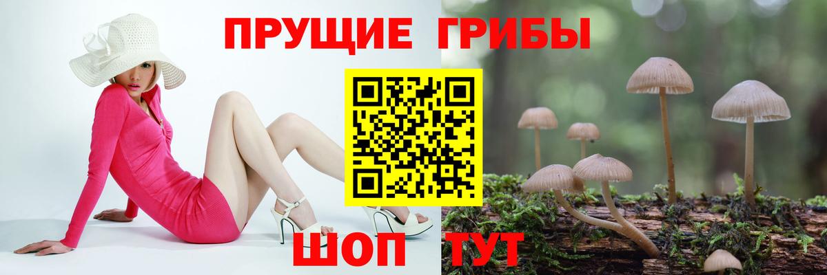 Псилоцибиновые грибы MAGIC MUSHROOMS  Вход с VPN  наркотики  Муром 